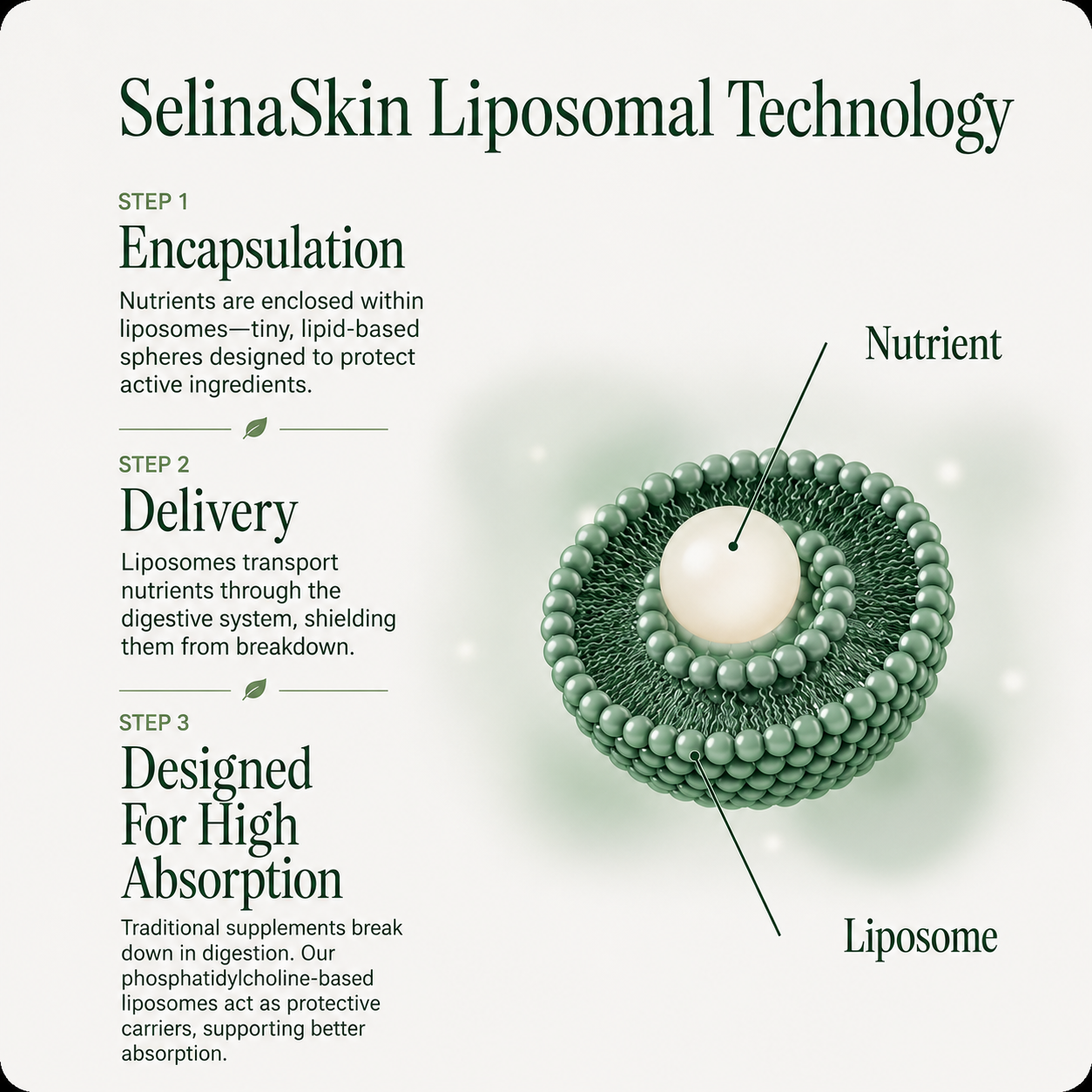SelinaSkin™ Skin Radiance & Cellular Detox Support